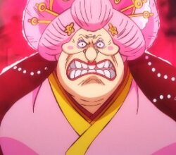 One Piece 996 Vostfr