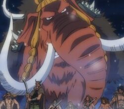 One Piece 1000 Vostfr