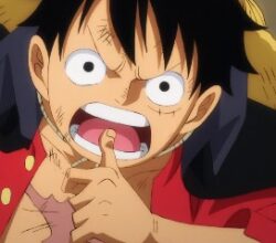 One Piece 1005 Vostfr