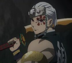 Demon Slayer Le Quartier Des Plaisirs 06 Vostfr