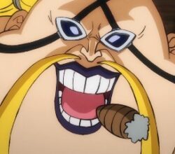 One Piece 1006 Vostfr