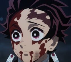 Demon Slayer Le Quartier Des Plaisirs 11 Vostfr