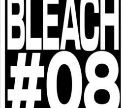 Bleach 374 Vostfr