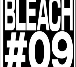 Bleach 375 Vostfr