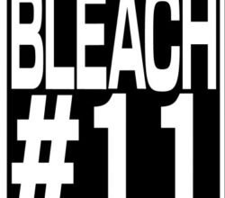 Bleach Thousand Year Blood War 11 Vostfr