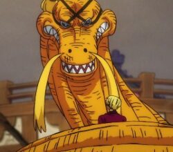 One Piece 1053 Vostfr