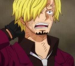 One Piece 1055 Vostfr