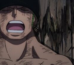 One Piece 1060 Vostfr