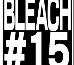 Bleach Thousand Year Blood War 15 Vostfr