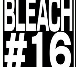 Bleach Thousand Year Blood War 16 Vostfr