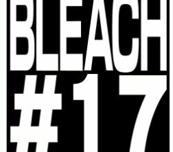 Bleach Thousand Year Blood War 17 Vostfr