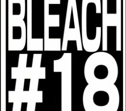 Bleach Thousand Year Blood War 18 Vostfr