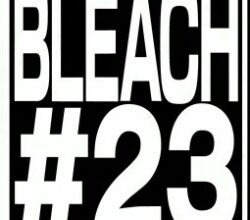 Bleach Guerre De Mille Ans 23 Vostfr