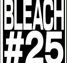 Bleach Thousand Year Blood War 25 Vostfr