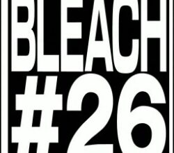 Bleach Thousand Year Blood War 26 Vostfr